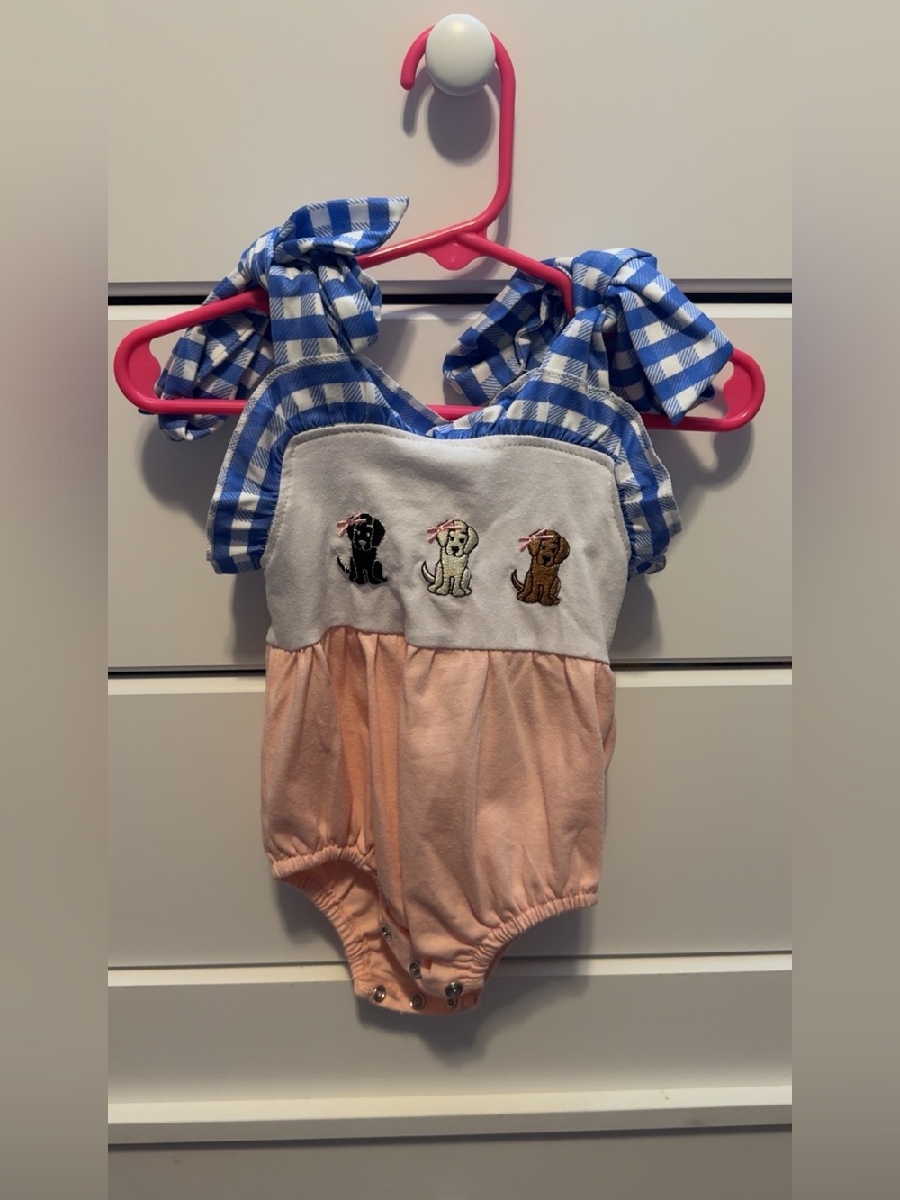 Blue Gingham & Peach Puppy Bubble